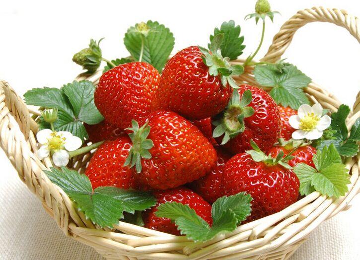 草莓8