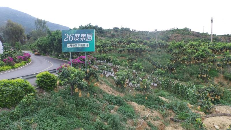 基地标识