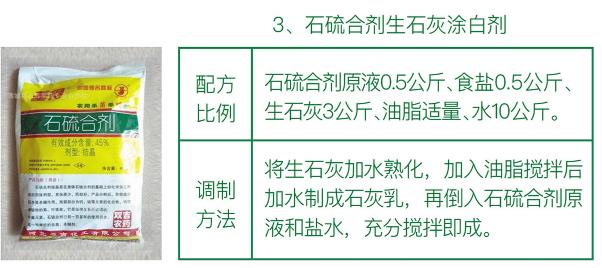 石榴合剂表2